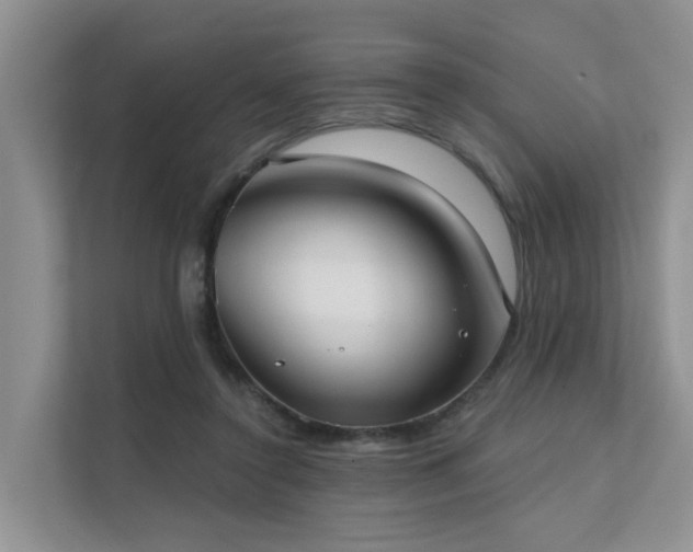 X0000111610356200907171228