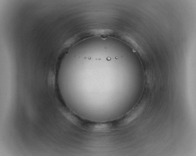 X0000111610357200907171228