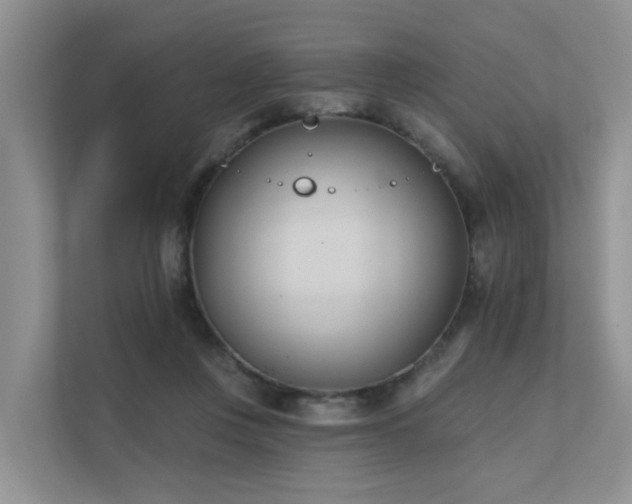 X0000111610359200907171228