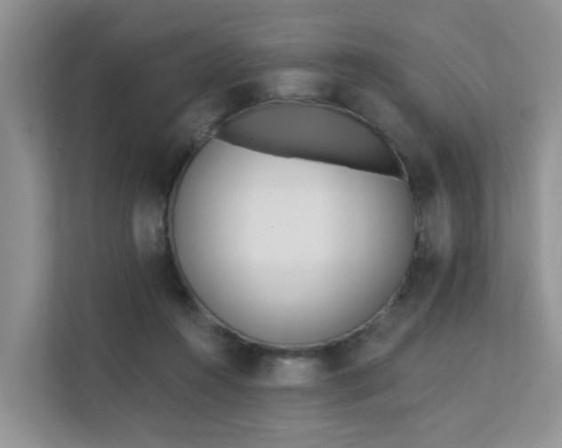 X0000111610360200907171228