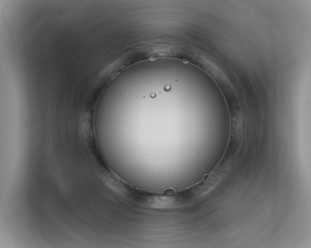X0000111610361200907171228