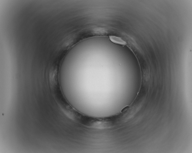 X0000111610364200907171228