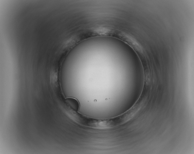 X0000111610365200907171228