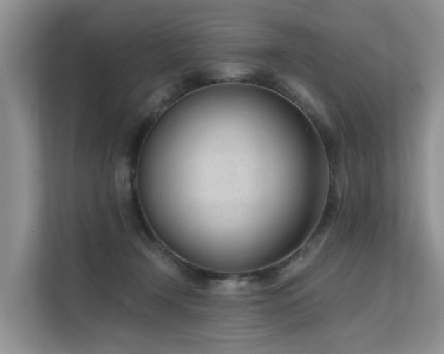 X0000111610366200907171228
