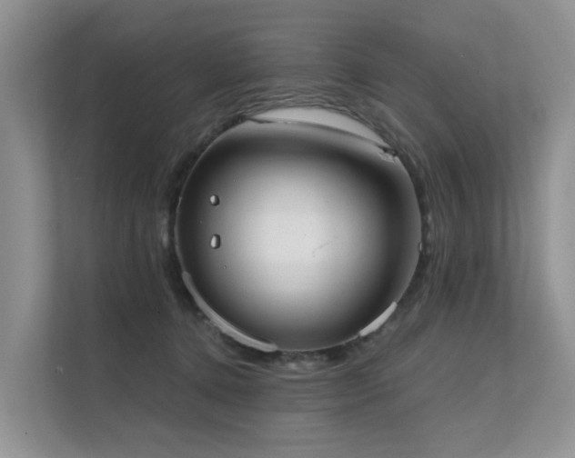 X0000111610368200907171229