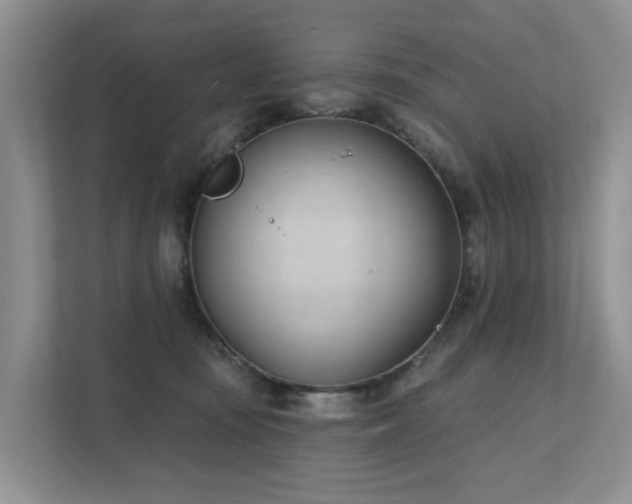 X0000111610371200907171229
