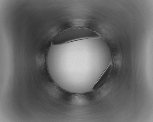 X0000111610372200907171229