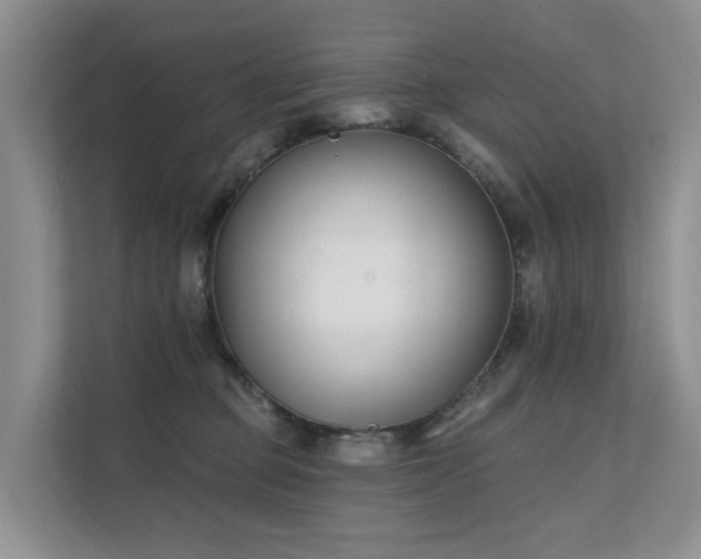 X0000111610373200907171229