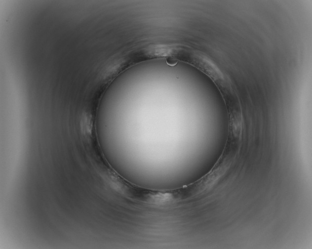 X0000111610374200907171229