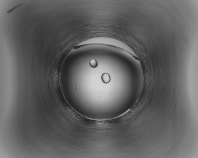 X0000111610376200907171229