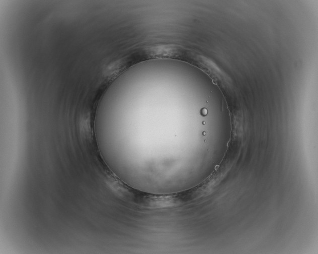 X0000111610377200907171229