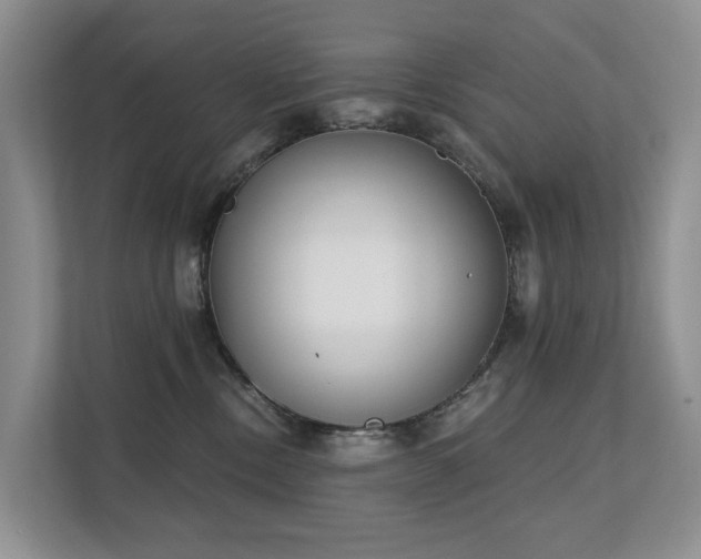 X0000111610378200907171229