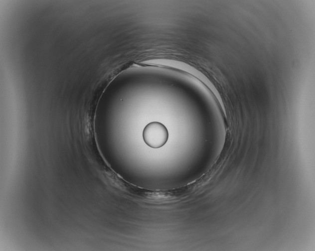 X0000111610380200907171229