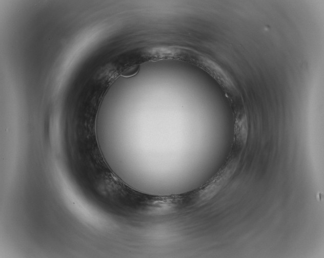 X0000111610381200907171229