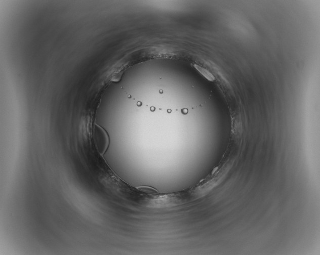 X0000111610382200907171229
