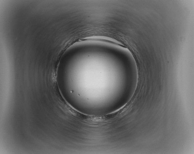 X0000111610384200907171229