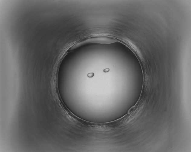 X0000111610385200907171228