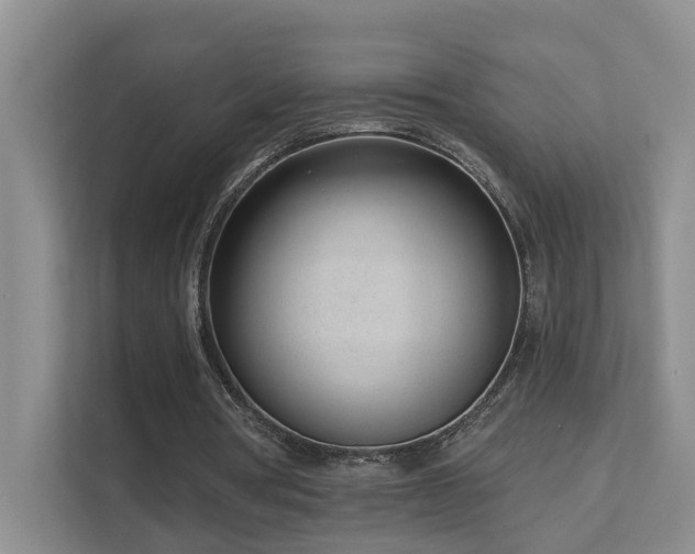 X0000111610386200907171228