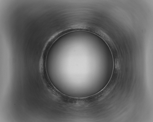 X0000111610388200907171228