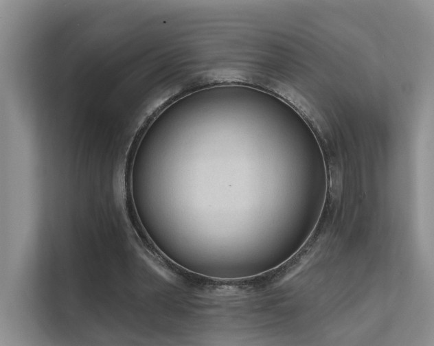 X0000111610390200907171228