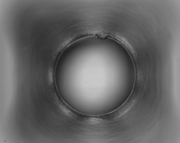 X0000111610393200907171228