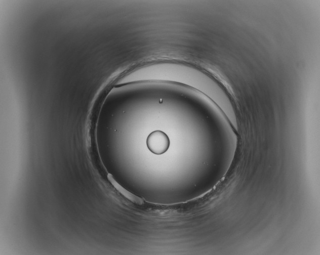 X0000111610395200907171228