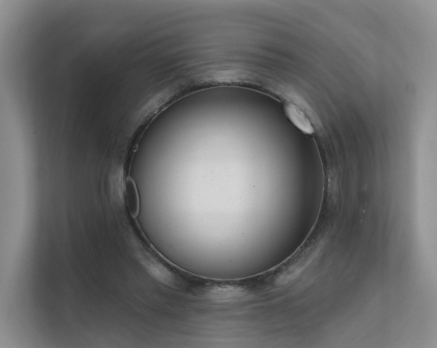 X0000111610397200907171228
