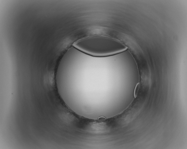 X0000111610403200907171228