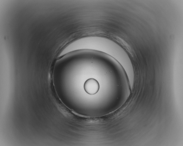 X0000111610405200907171228