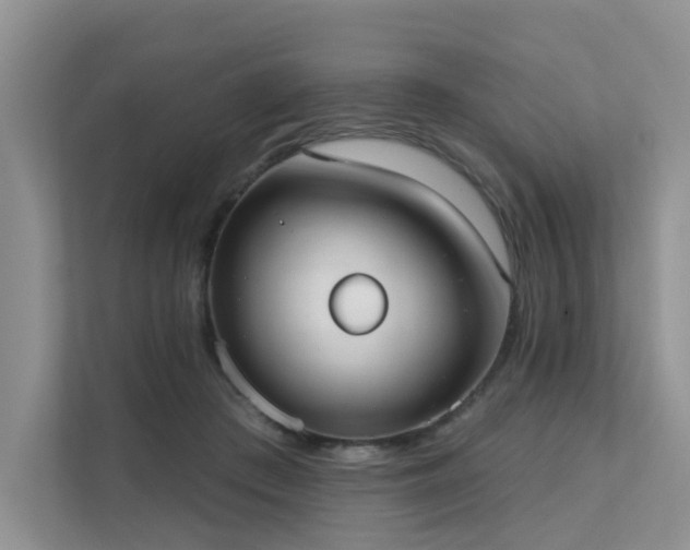 X0000111610409200907171228