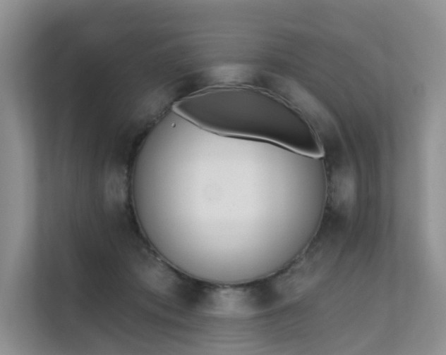 X0000111610413200907171228