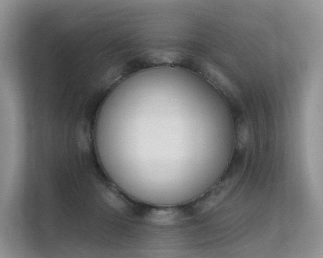 X0000111610414200907171228