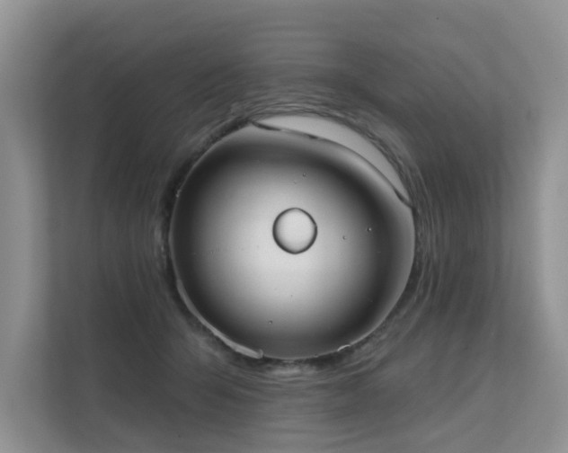 X0000111610415200907171228