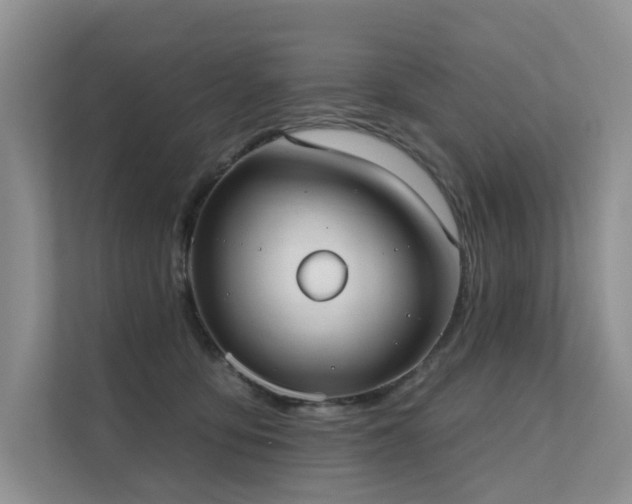 X0000111610419200907171228