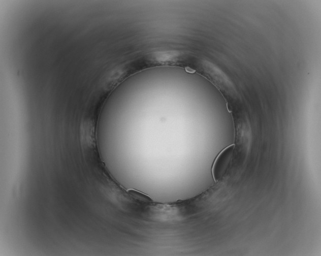 X0000111610421200907171228