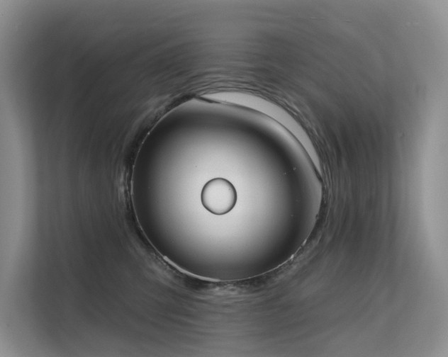 X0000111610423200907171228
