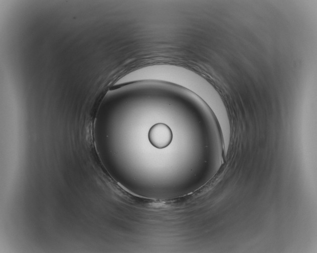 X0000111610425200907171228