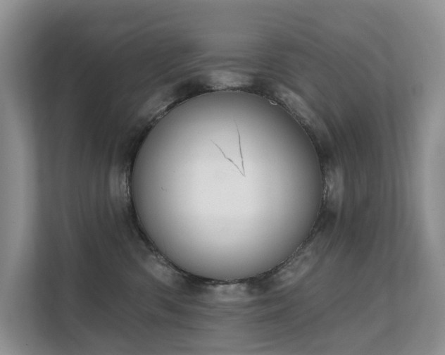 X0000111610426200907171228