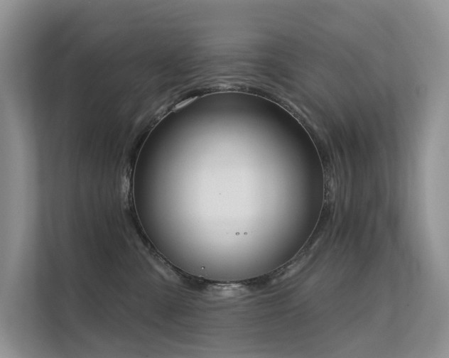 X0000111610427200907171228