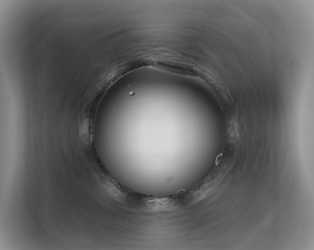 X0000111610428200907171228