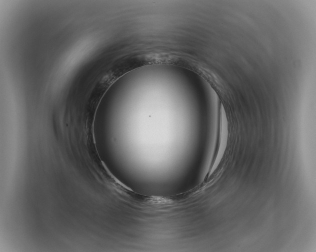 X0000111610429200907171228