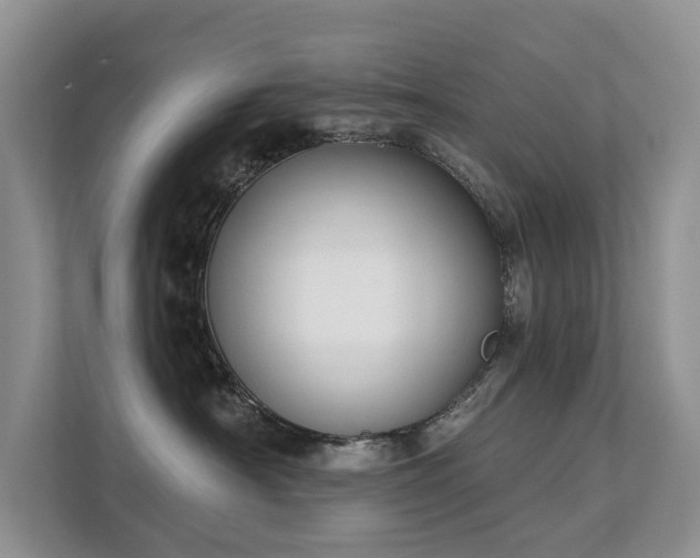 X0000111610430200907171228