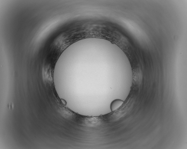 X0000111610431200907171227