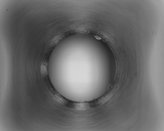 X0000111610432200907171227