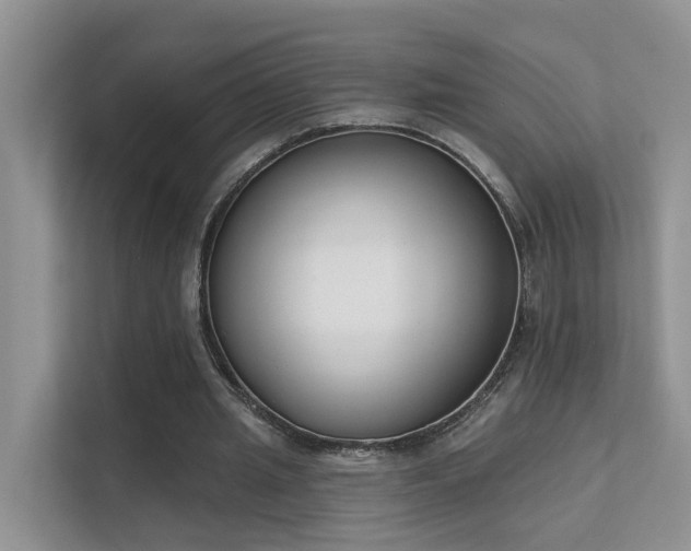 X0000111610437200907171227