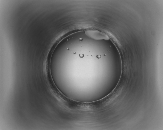 X0000111610439200907171227