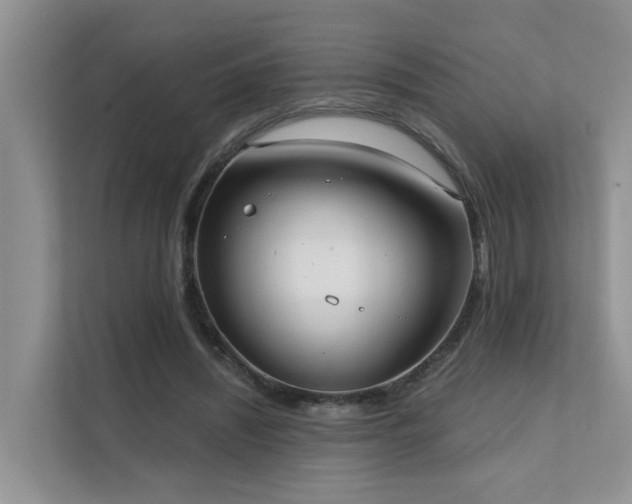 X0000111610444200907171227