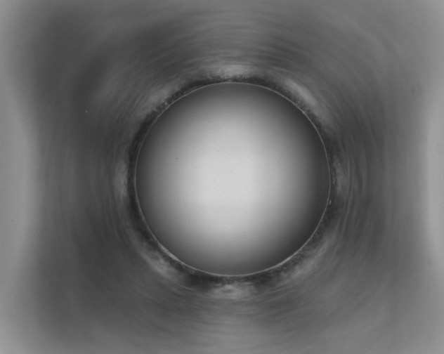 X0000111610447200907171227