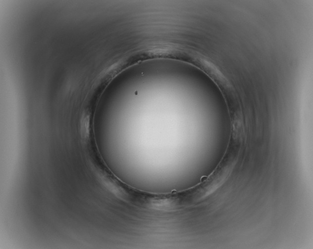 X0000111610454200907171227