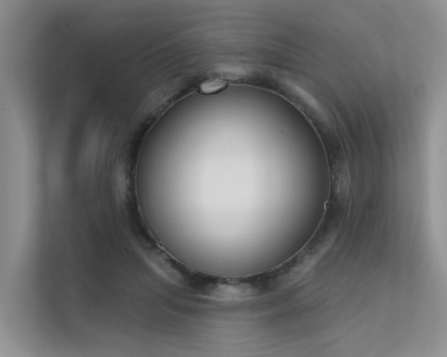 X0000111610455200907171227